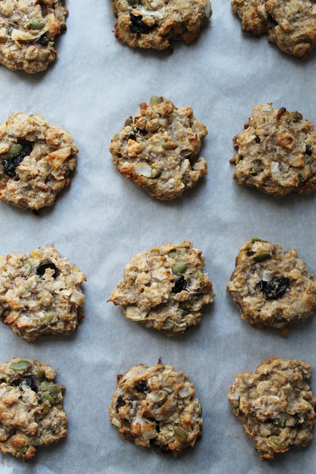 oatmeal coconut cookies (gluten free) Friendly Food Snobs